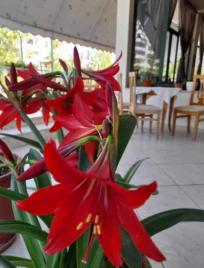 Hotel Rossi Vlorë Εξωτερικό φωτογραφία